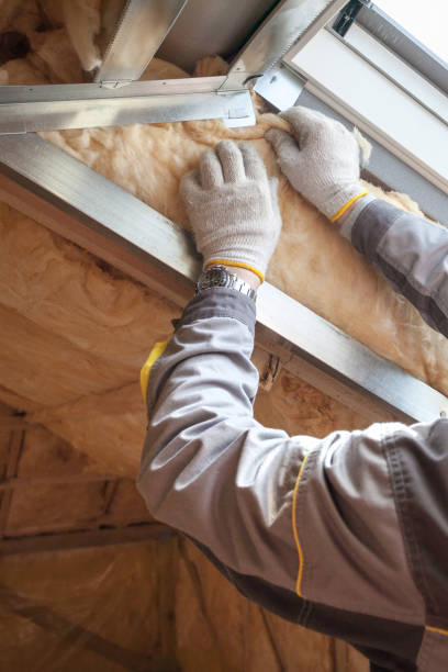 Best Insulation for Specific Applications in Truman, MN