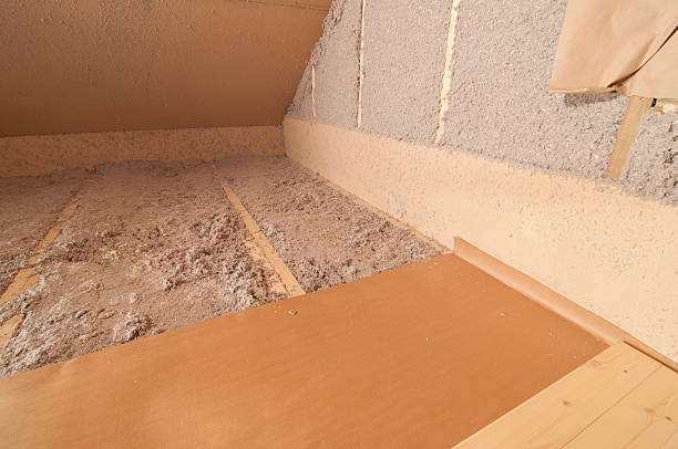 Best Insulation Maintenance and Repair in Truman, MN